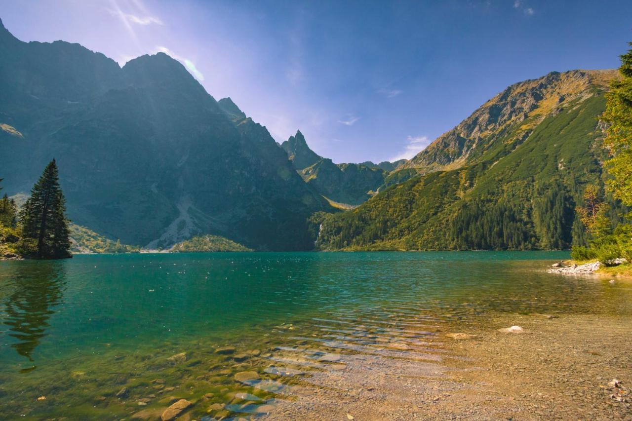 Apartament Parzenica Zakopane Dış mekan fotoğraf